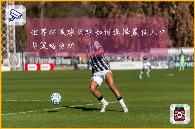 世界杯滚球买球如何选择最佳入口与策略分析